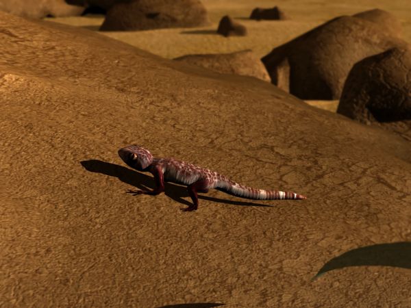 tr4-dreamcast-gallery1403711C9C-FC98-D5C3-CA11-D50024C25C95.jpg
