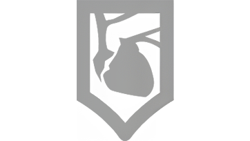 Anatomical Knowledge